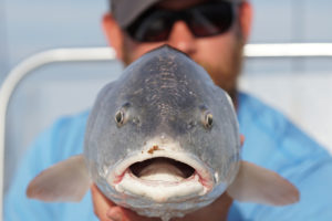 Captain Andrew Mizell Holding Redfish To Camera - Jacksonville Marsh Looking for redfish